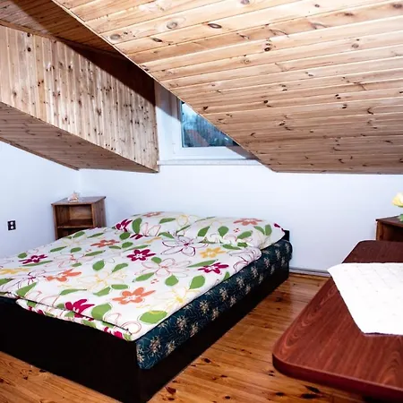 Gala - Homestay Grzybowo (West Pomeranian)